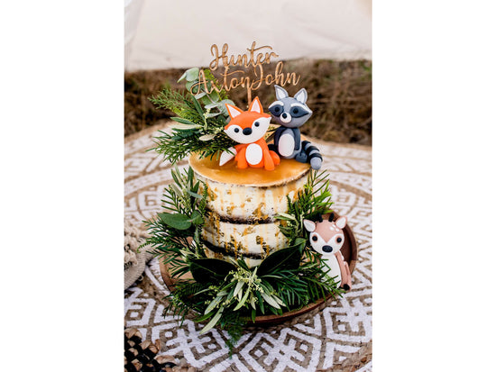 cake toppers,cake decorating, birthday cakes, themed cakes