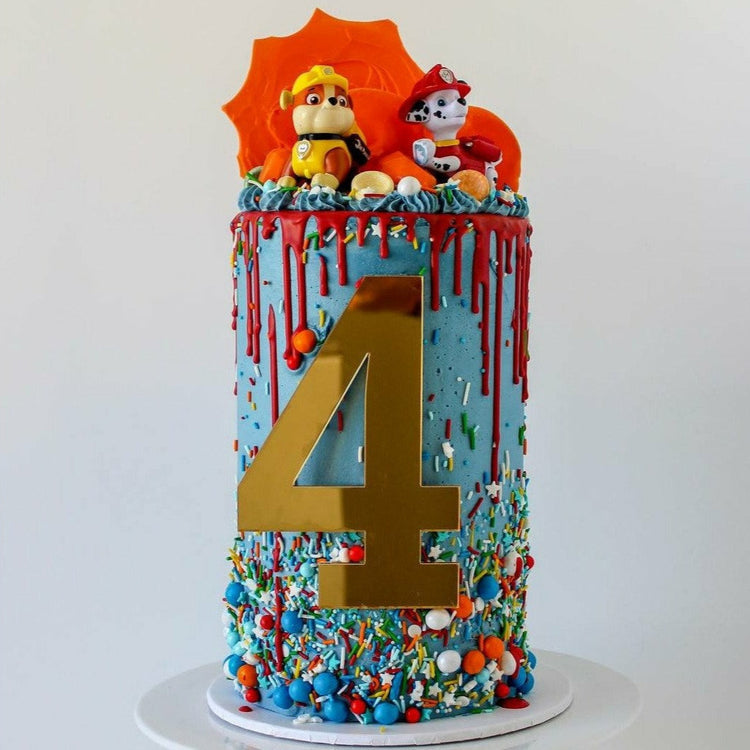 ,cake toppers,cake decorating,themed cakes birthday cakes ,paw patrol cake